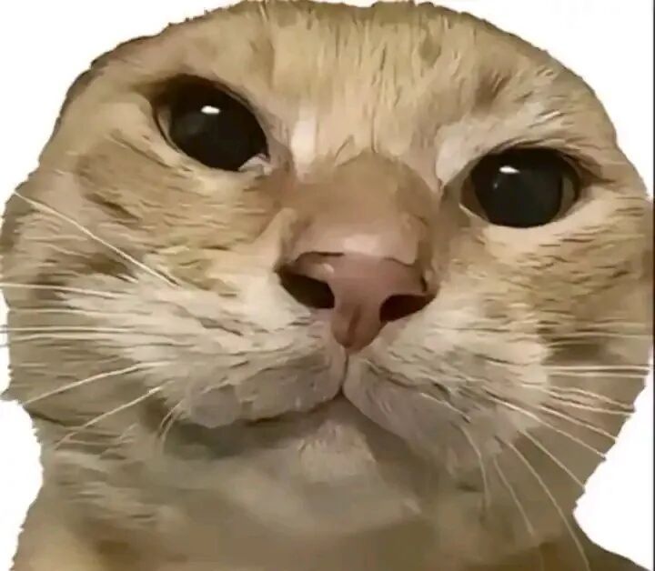 互助 1