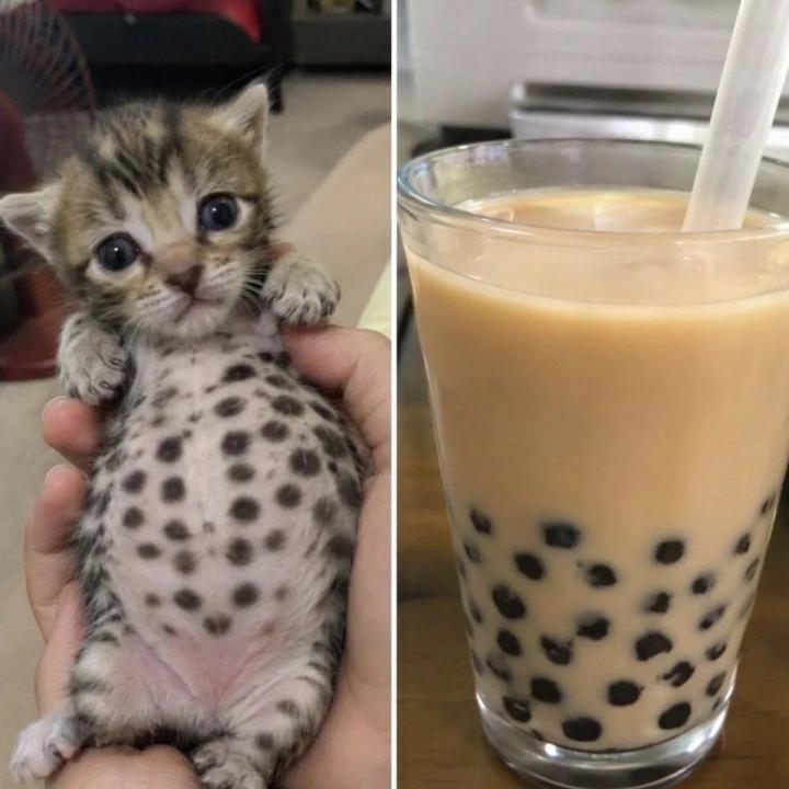 tap模拟器截图