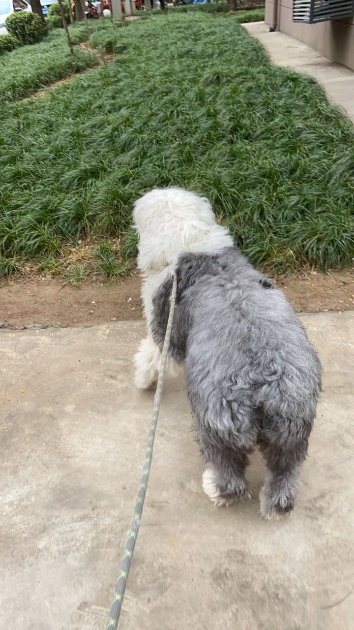 焚天宝石咋带?推荐的金刚石和玛瑙吗截图