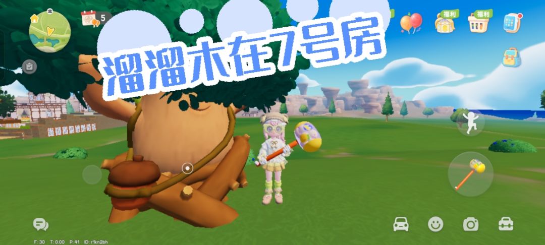 10月5日萤石和溜溜木攻略 2