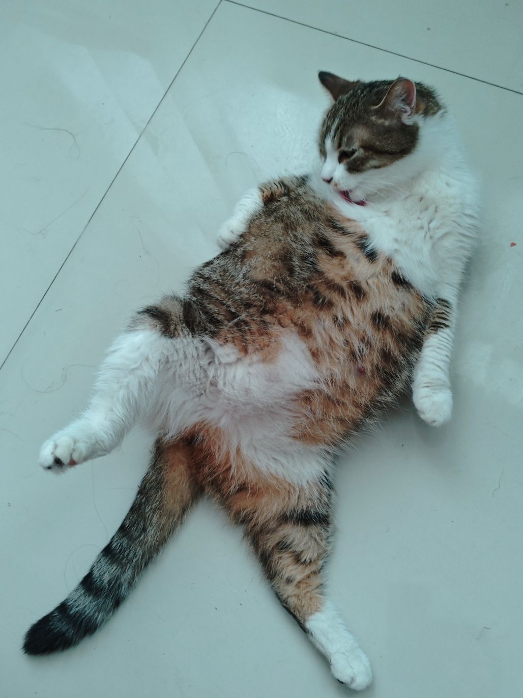 这样看起来我还蛮OK的了 2