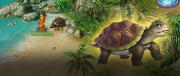 那年仅有2只宝宝的他，却把最强的体海龟送我，这礼物什么水平？