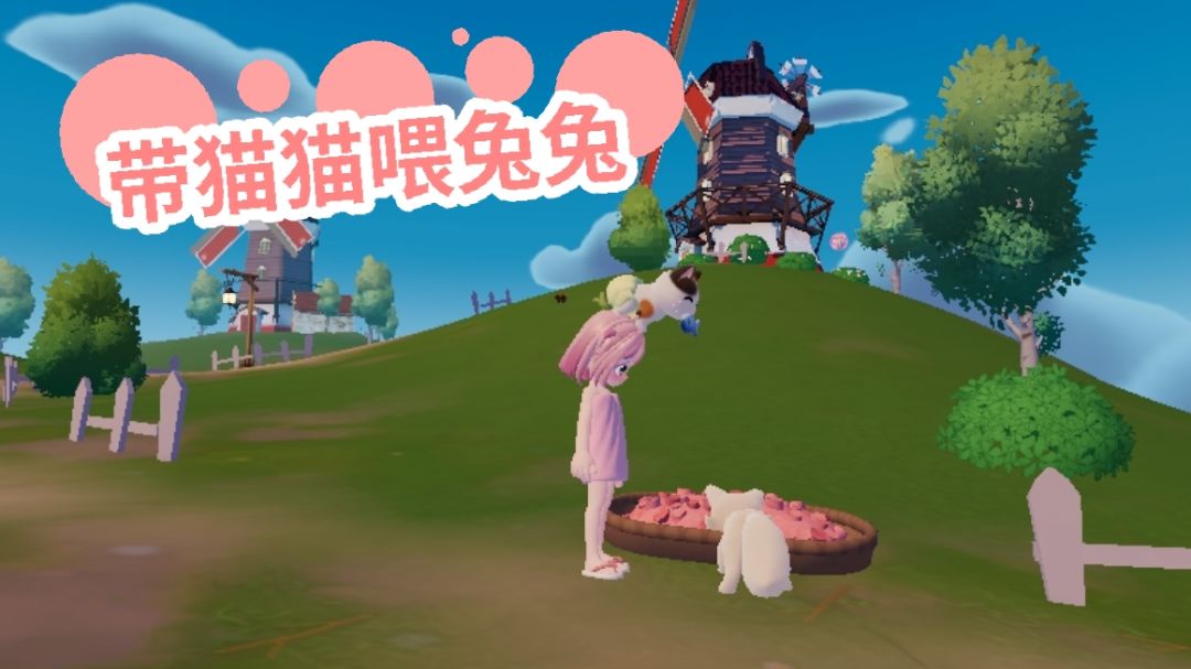 8.7兑换码/萤石/溜溜木 2