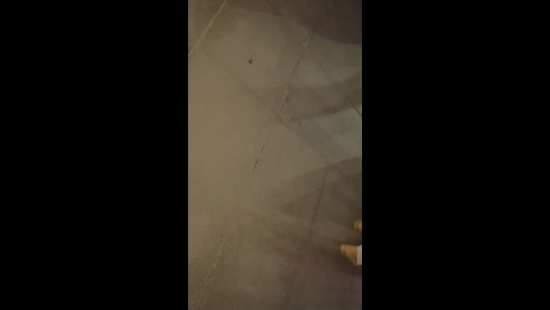 video-3448238