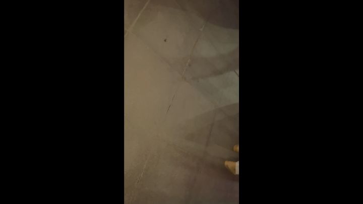庆五一国际劳动节晚会截图