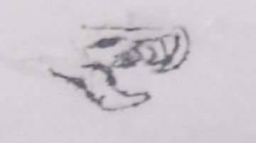 恶魔秘境，我等到你了