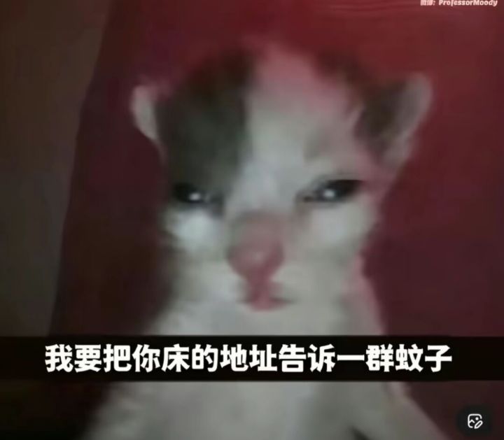 很难想象这个版本还有角色能这么垃圾截图