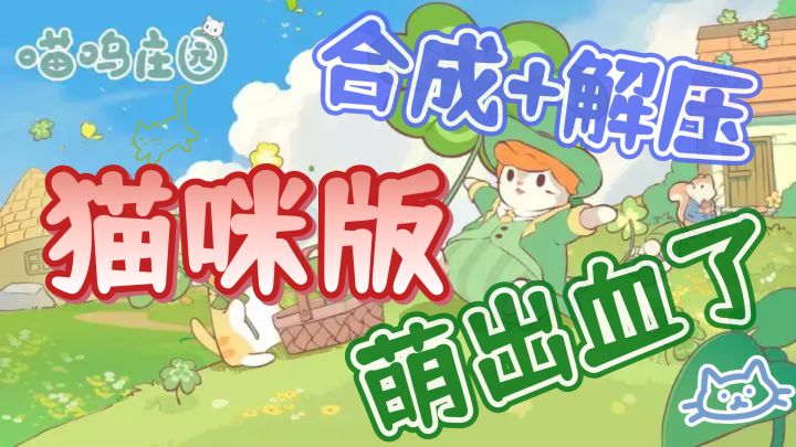 和小猫咪一起生活是种什么体验，答案就是非常的治愈解压舒适！截图