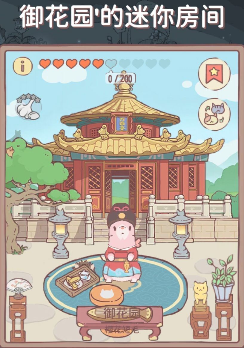 可爱猫猫 3