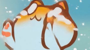 奇蛋生物萌新开局攻略以及基础设定（1）