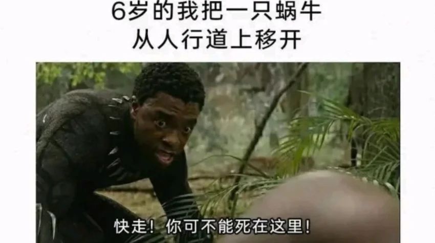 ✨今日份梗图分享第七十期✨ 2