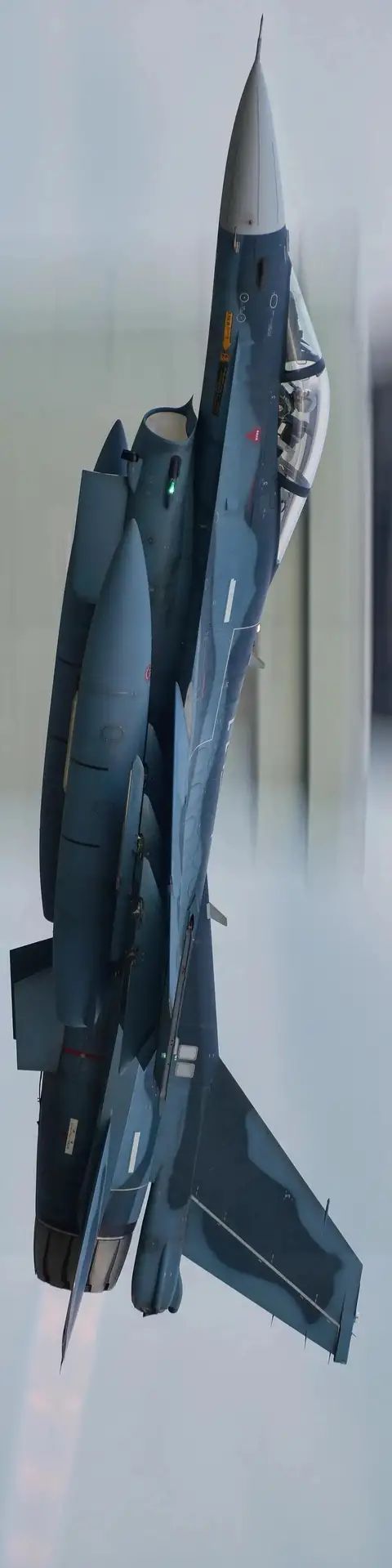 动态图片 7