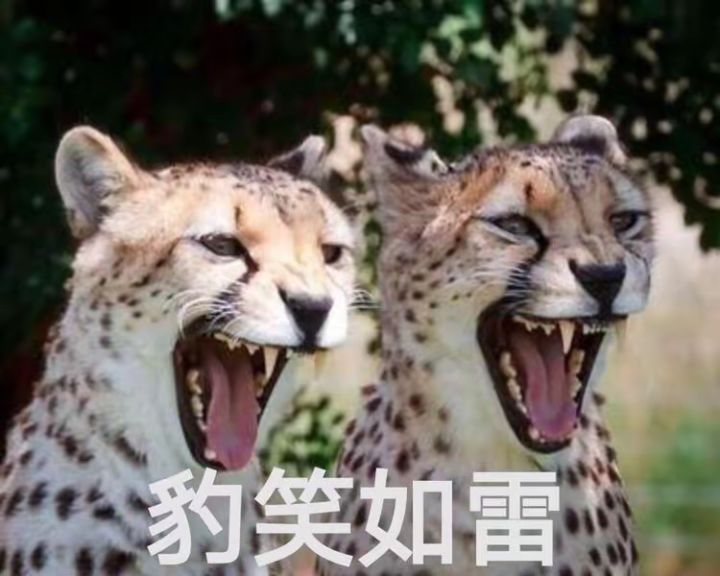 希望能抽到截图