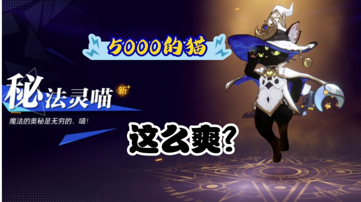 公测5000的猫比内测还要爽,玩起来好爽截图