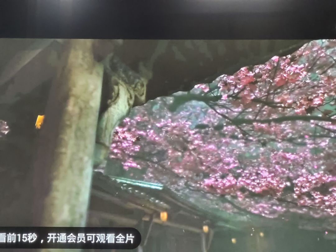 沙国王之死 1