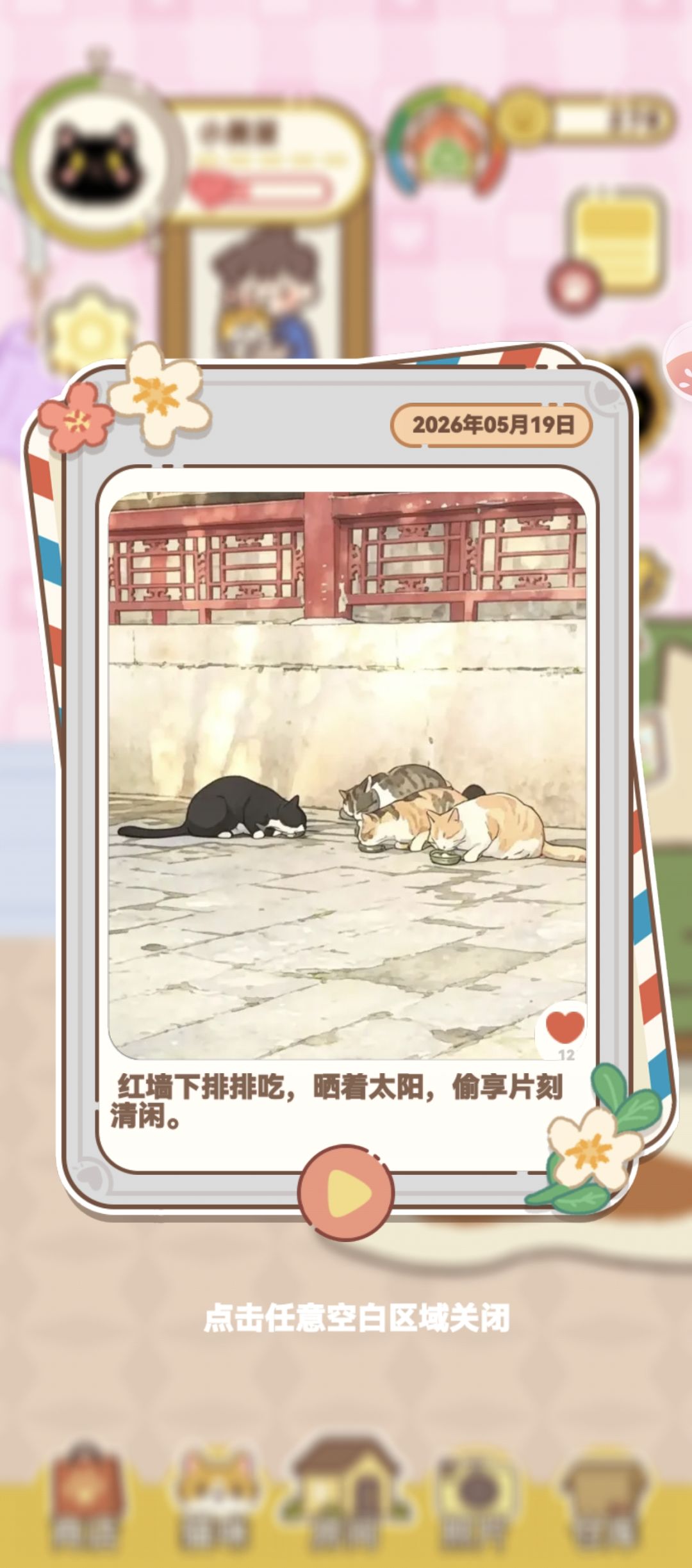 你们收到了几张明星片 3