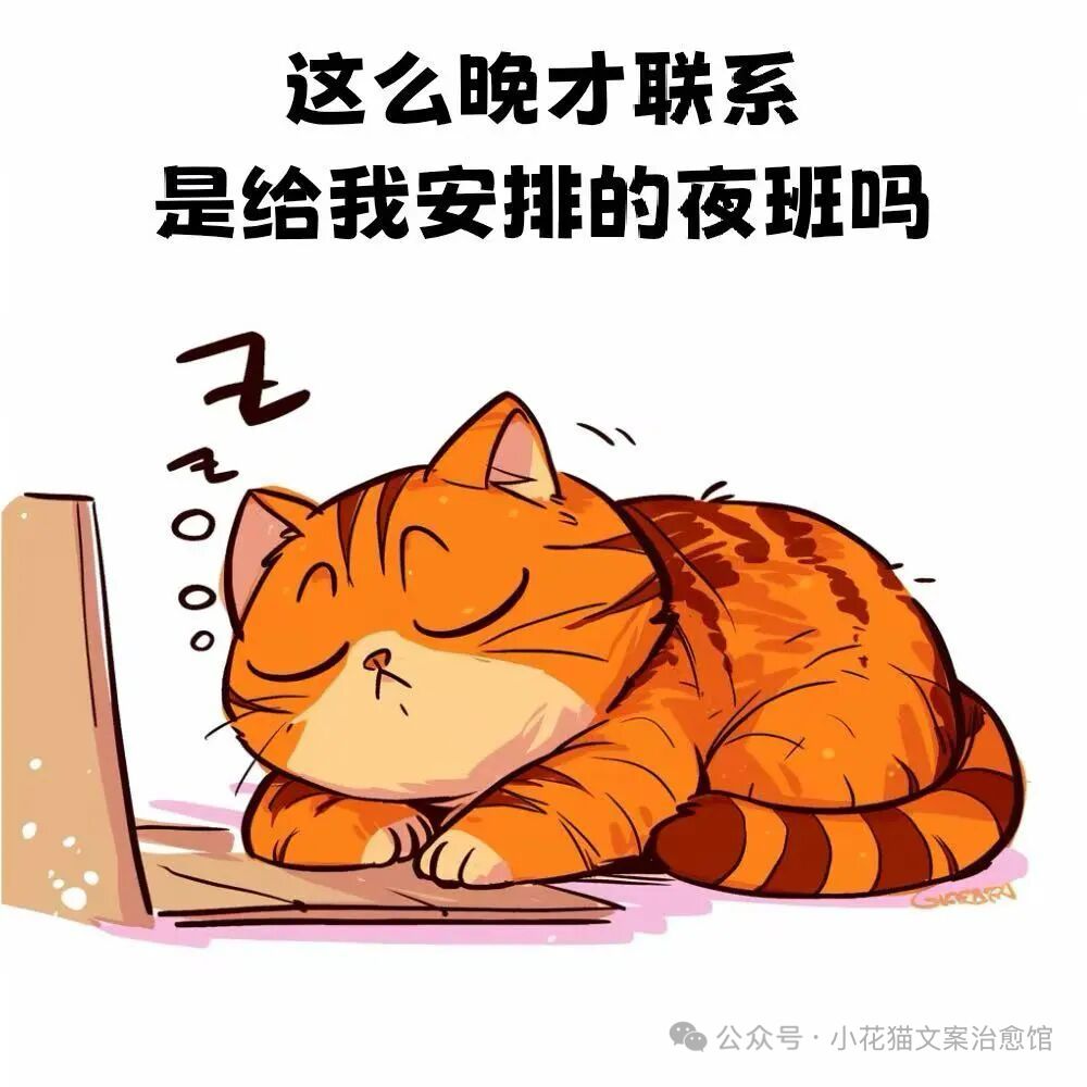今天又新区吗? 1