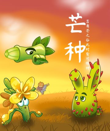 【玉米卷的知识库】芒种