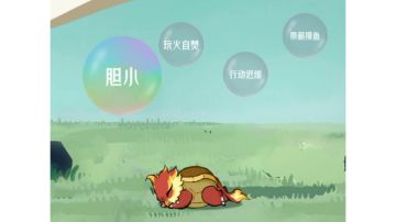 抓到小火龟本锅了