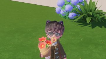 植物图鉴【雏菊花】