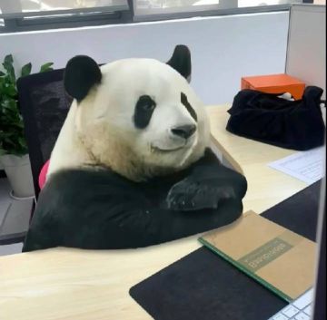 问巨佬们几个问题