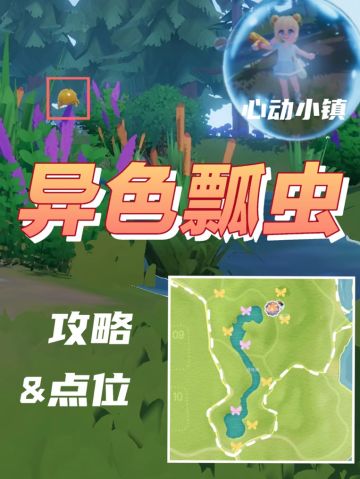 异色瓢虫（5级）捕虫攻略&点位