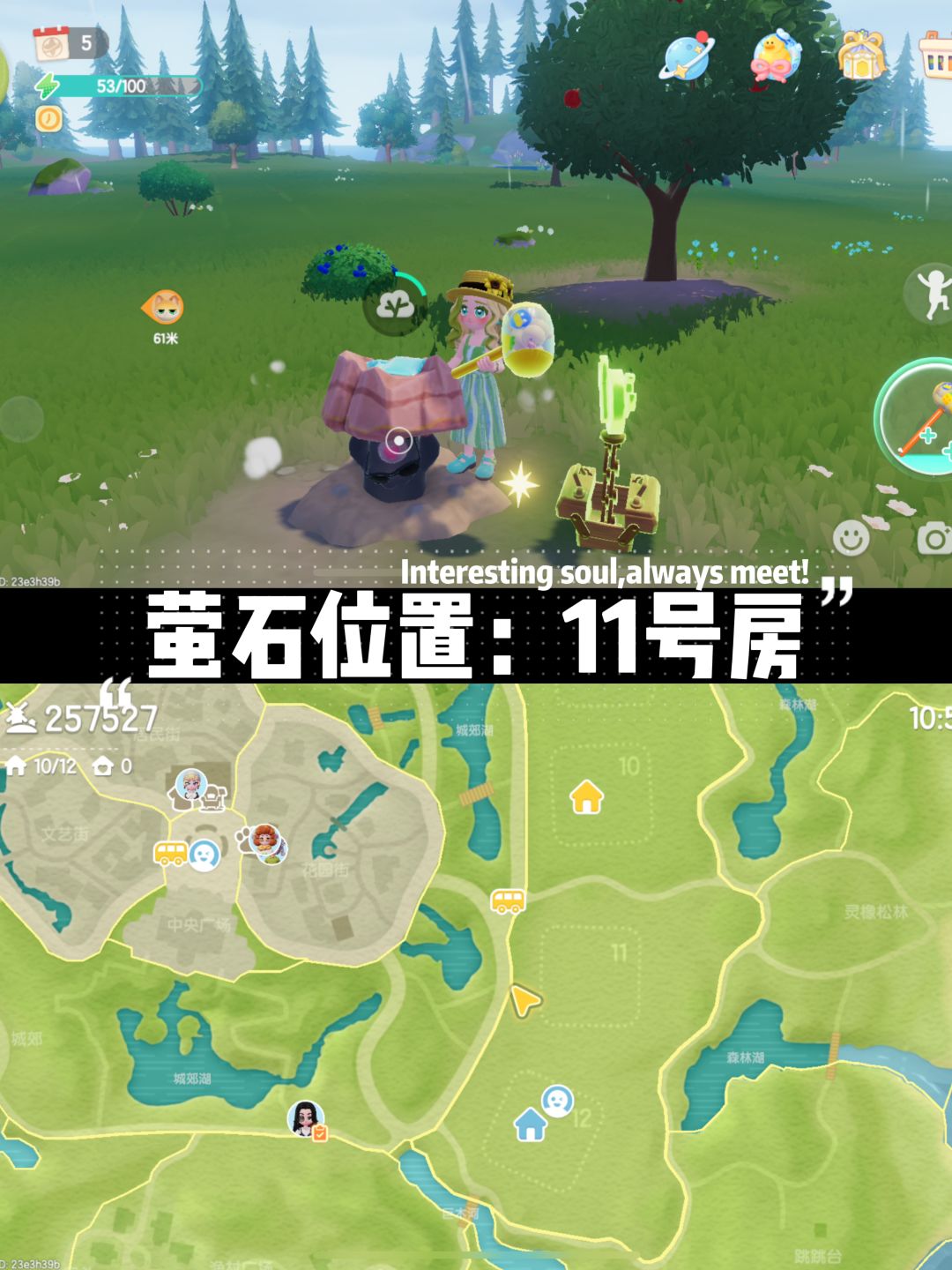 【9月8】今日彩虹天！正文彩虹花位置！！！ 3