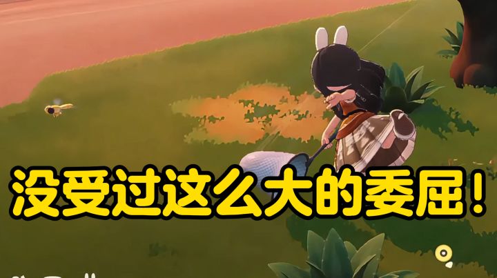 米哈游！你回答我！从来没受过这么大的委屈！截图