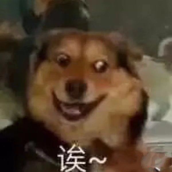 动态图片 1