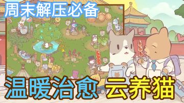 【周末解压必备】治愈的画风，拟真的环境音，还有一群可爱的猫咪