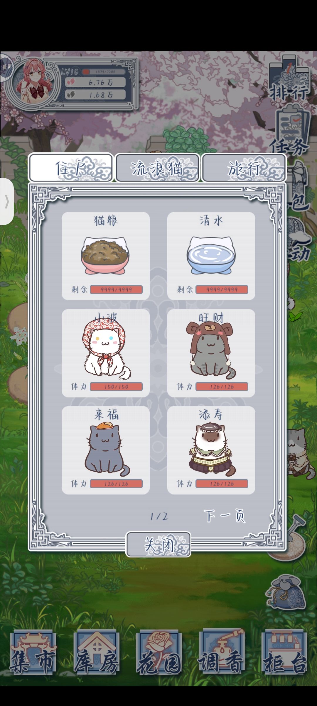 好久都没有流浪猫来了…… 3