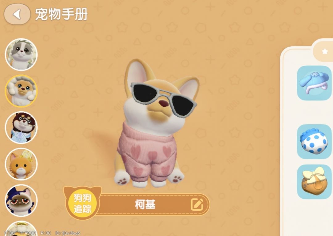 宠物店衣服更新 2