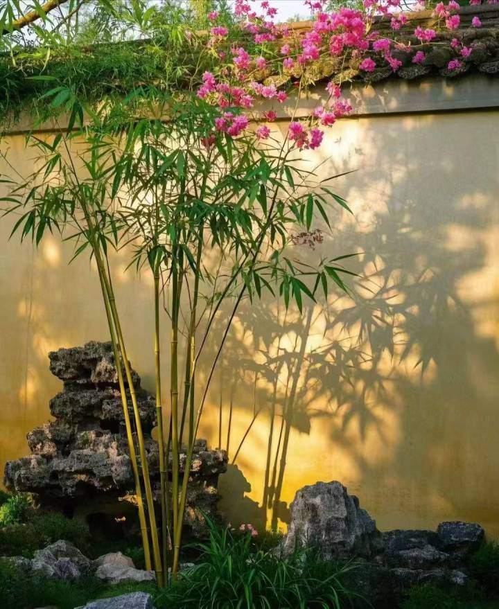 合道截图