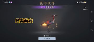 最美萌宠流羽灵鹤捕捉小技巧！！！