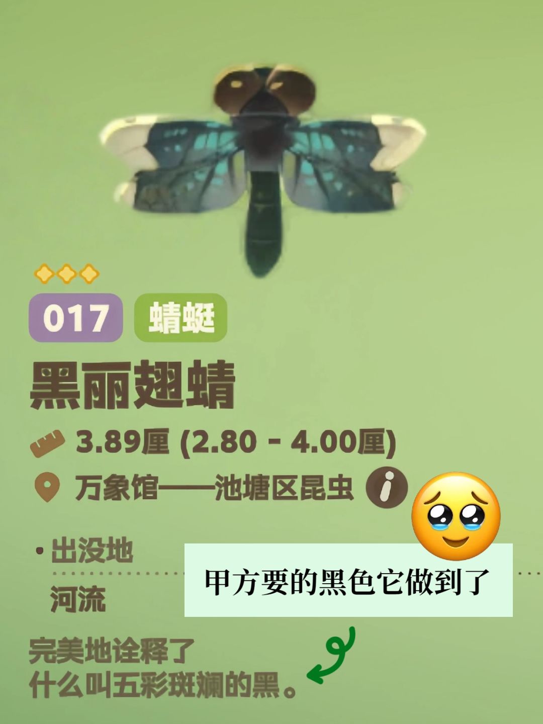 知识以奇怪的方式进入脑子 10