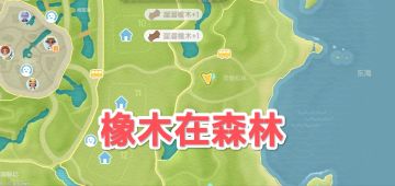 5.19心动小镇萤石溜溜橡木具体位置