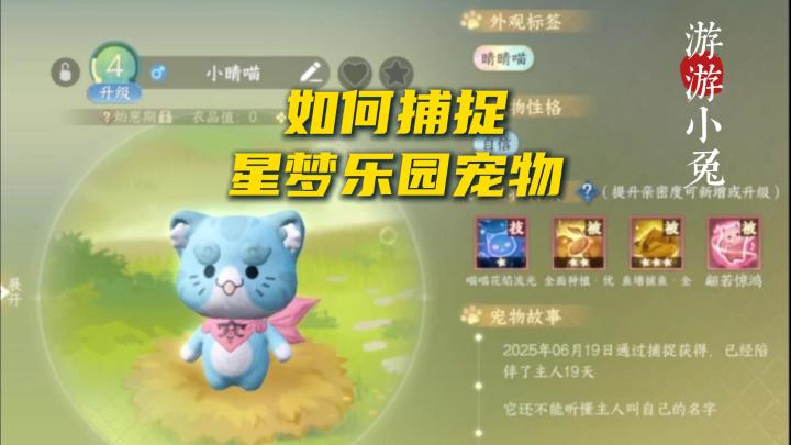 逆水寒:如何捕捉星梦乐园的小寒喵?截图
