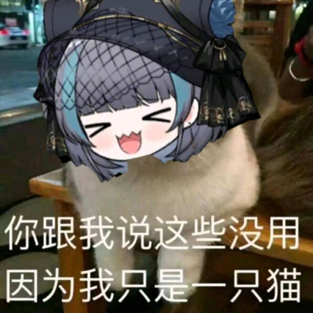 猫猫表情包9.0 2