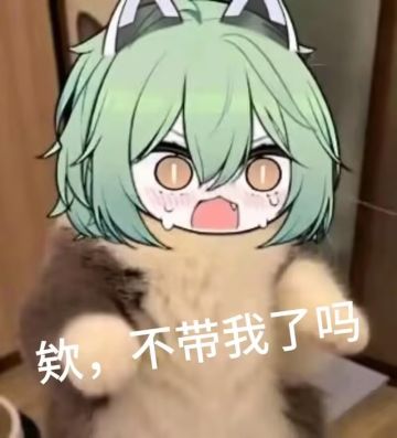 公告与致歉