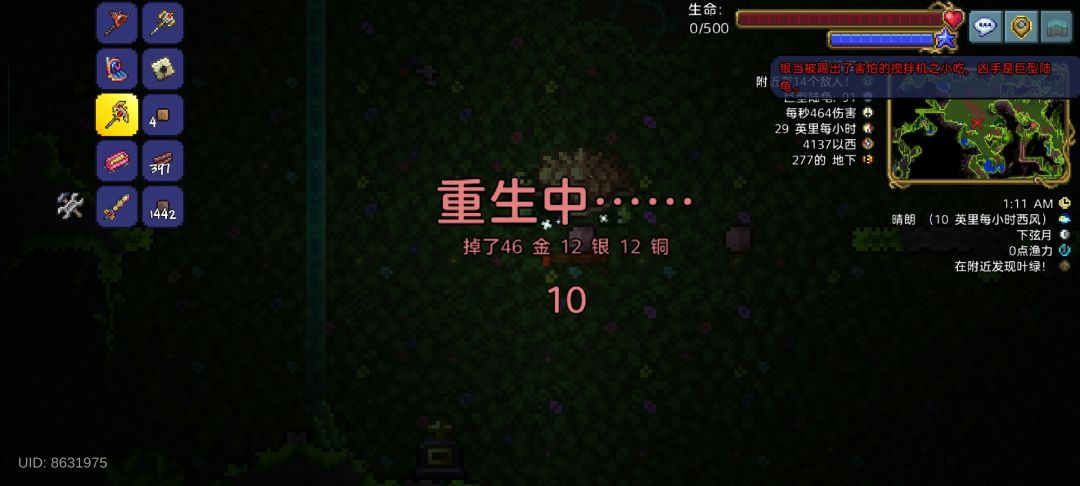 世纪之花花苞农场完工了 3