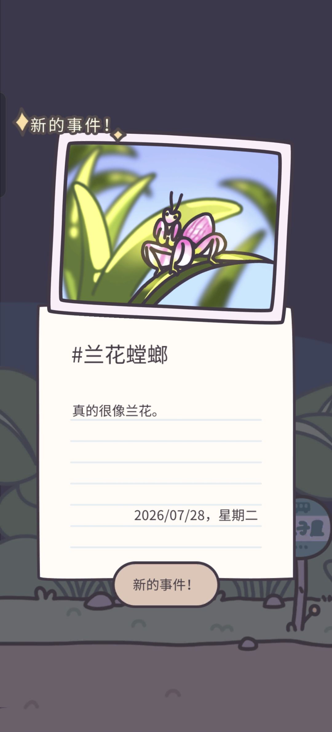 昆虫日记又又又➕1️⃣ 3