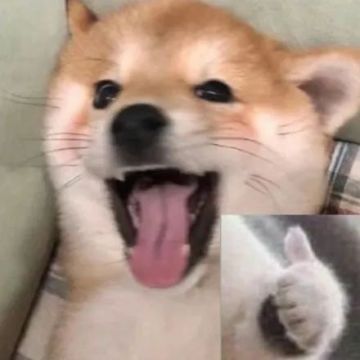 开发者有话说|要不要体验一场完全沉浸式的中式恐怖之旅？