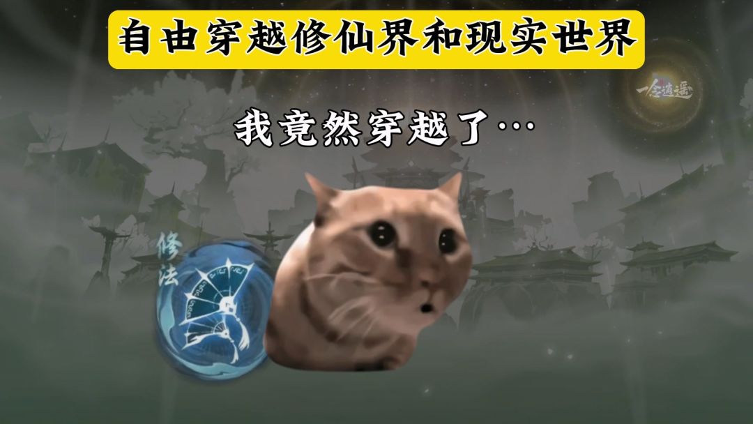video-5461867