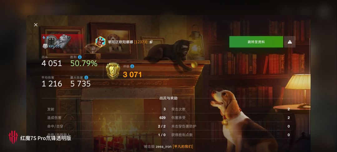 动态图片 16