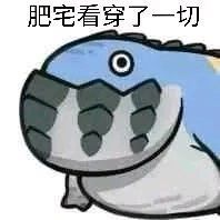 宝藏游戏又又又送皮肤啦截图