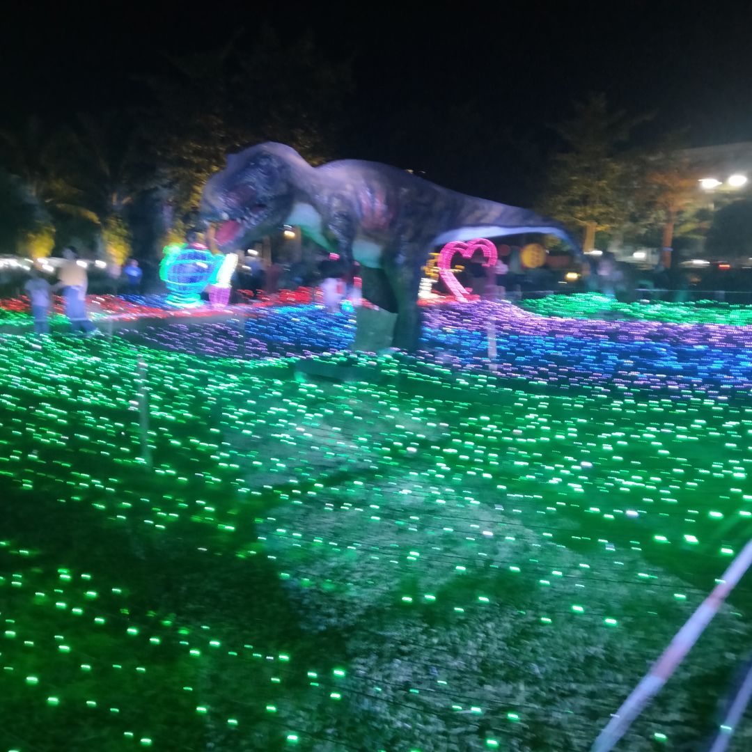 动态图片 6