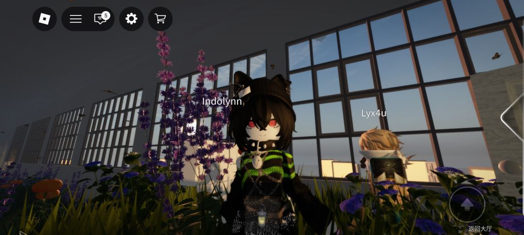 玩roblox三年了吧 5