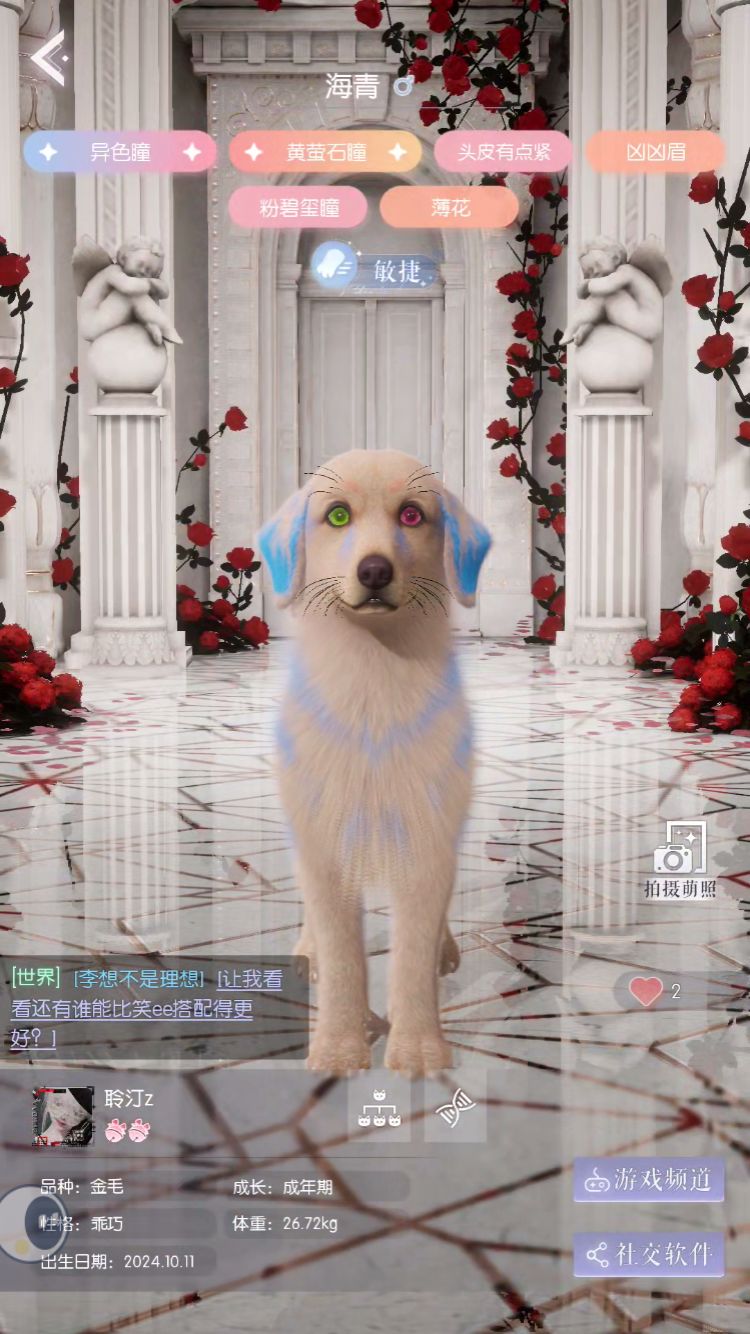 动态图片 4