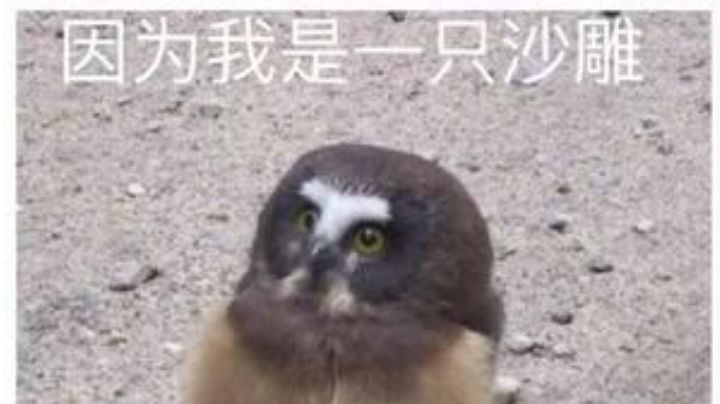 个人PtT变化记录贴截图