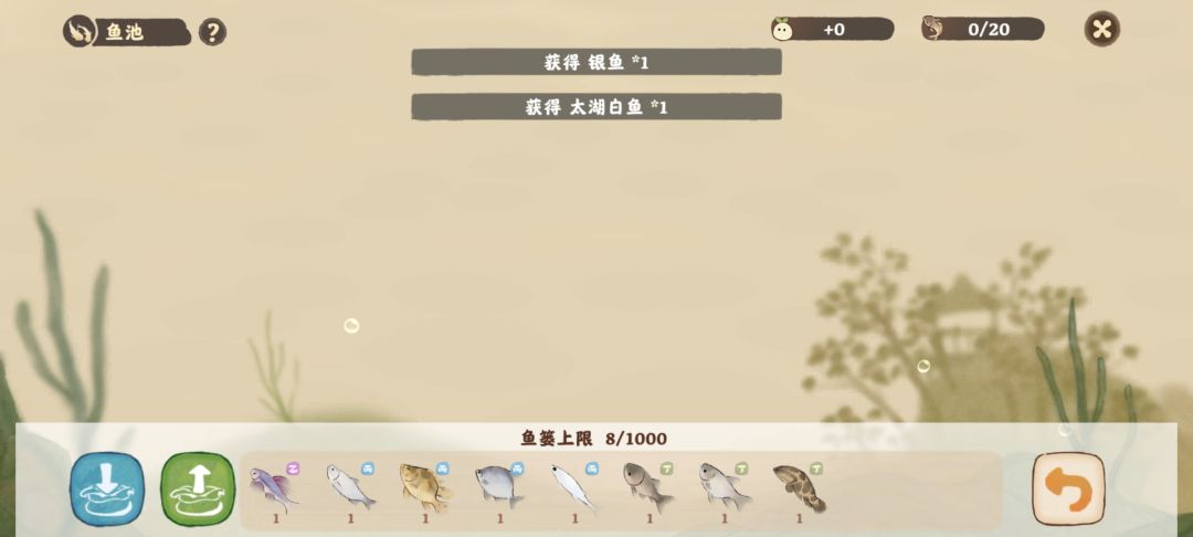 动态图片 4